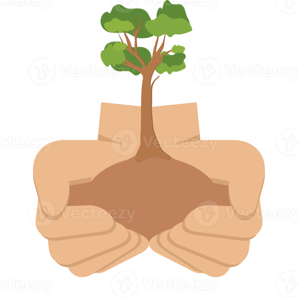 geben baum hände halten grüne bäume natürliche umwelt naturschutz png