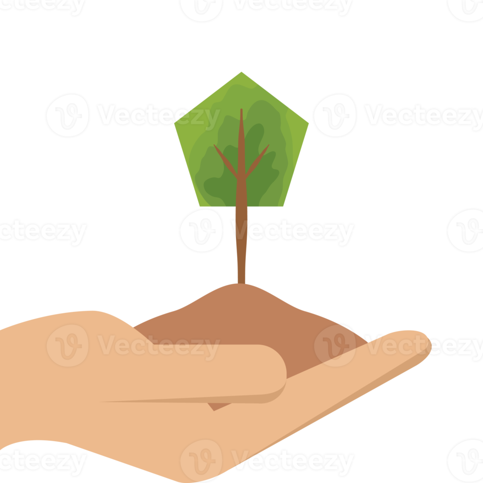 uno mano Tenere albero pianta vita verde natura png