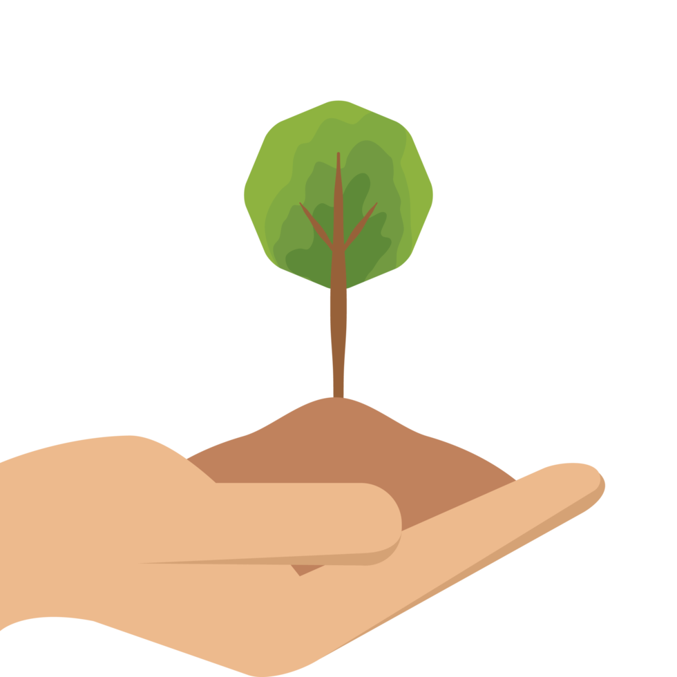 One Hand Holding Tree Plant Life Green Nature png