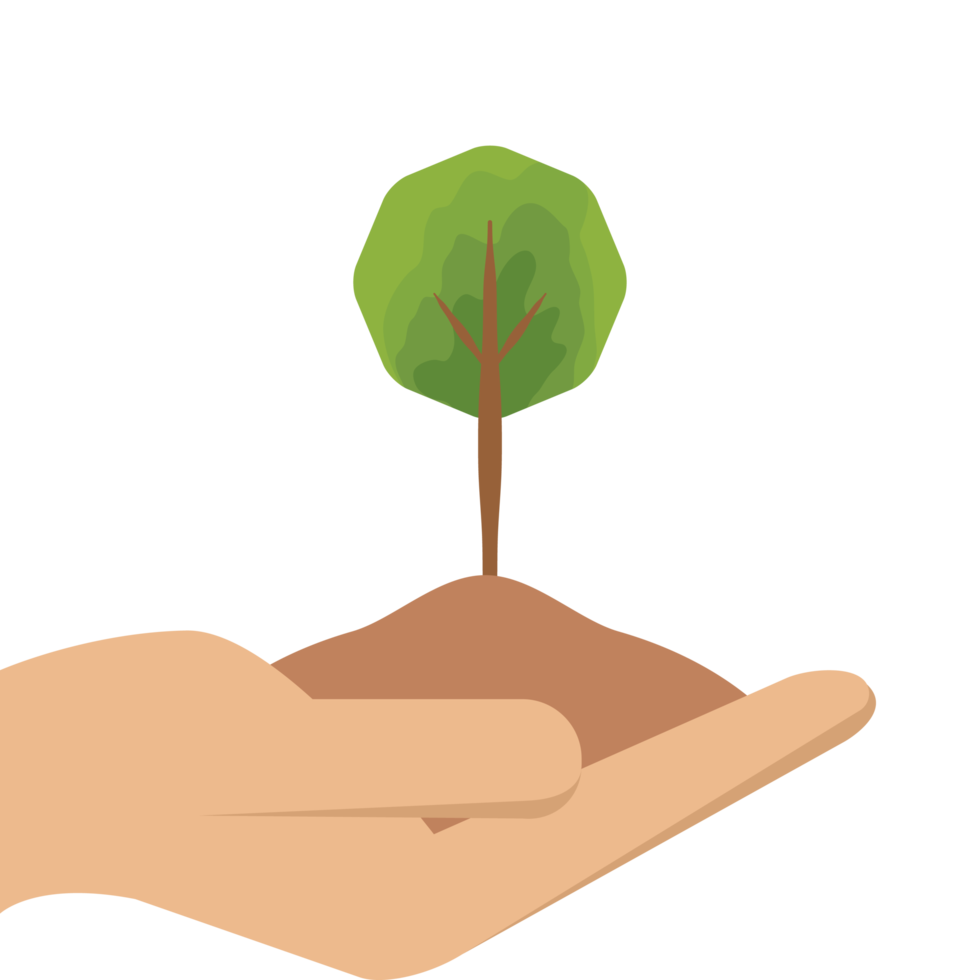 uno mano participación árbol planta vida verde naturaleza png