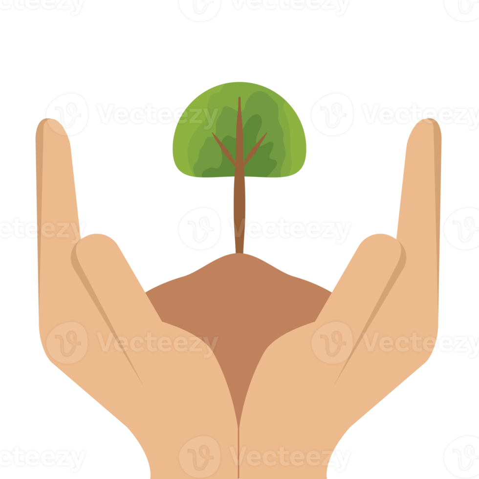 Hand Holding Giving Tree Plant Life Green Nature png