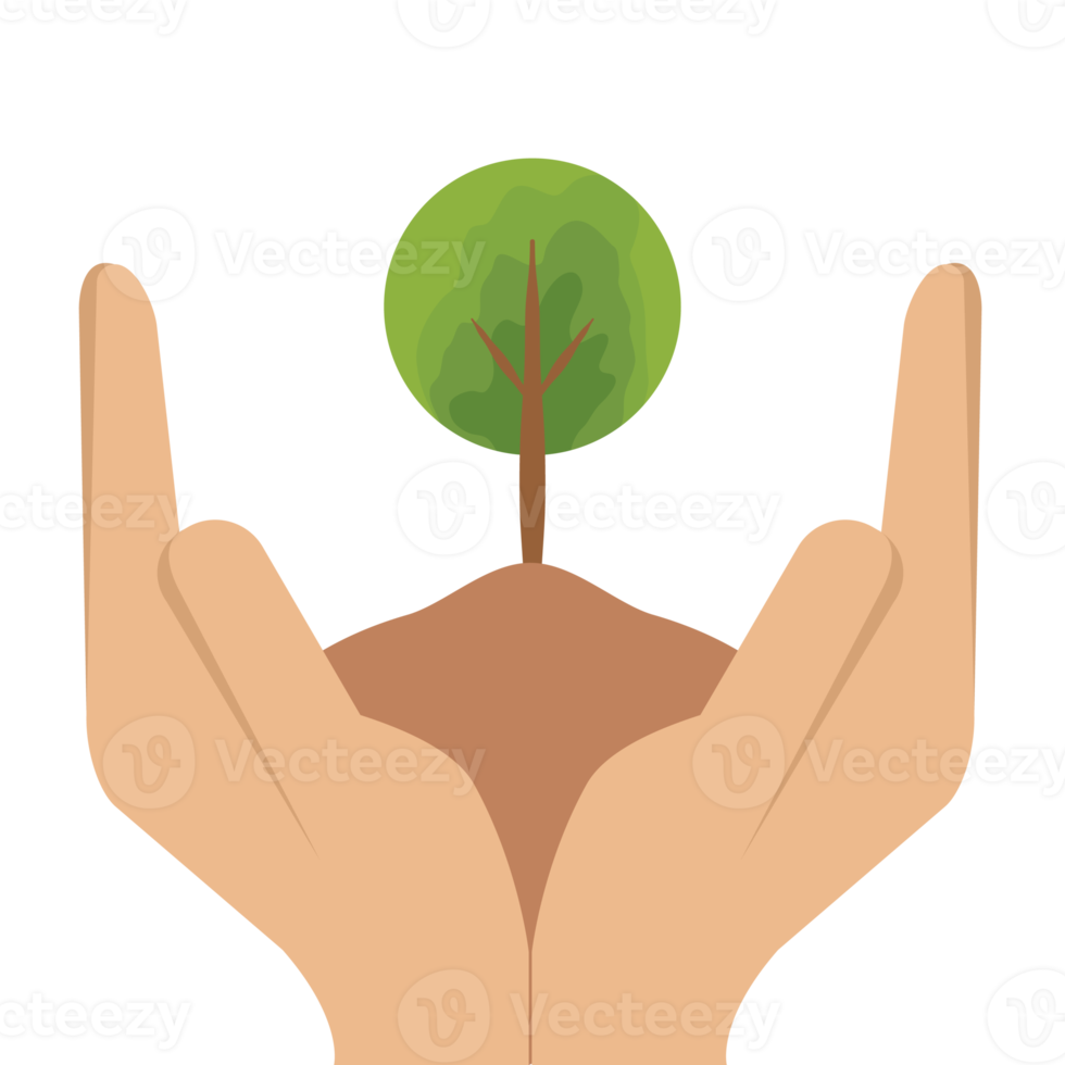 Hand Holding Giving Tree Plant Life Green Nature png