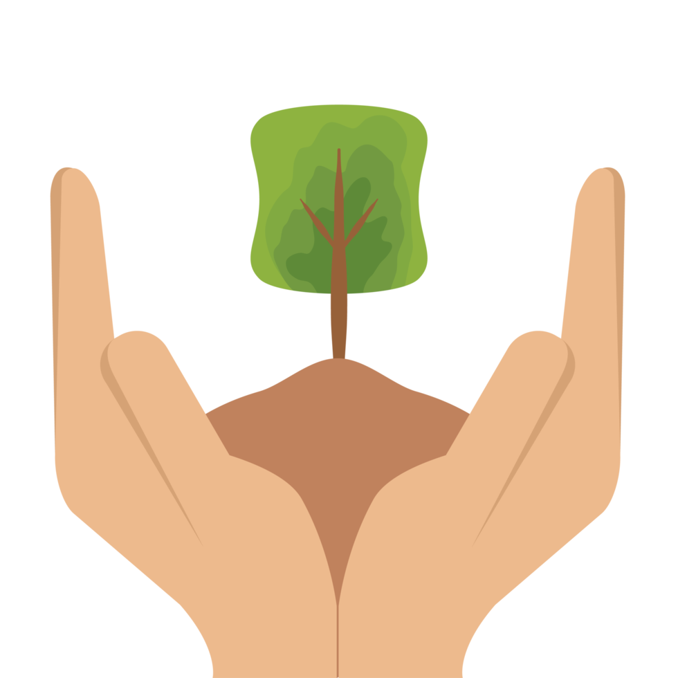 mano participación dando árbol planta vida verde naturaleza png