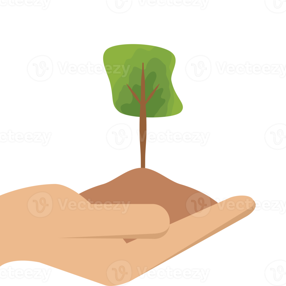 One Hand Holding Tree Plant Life Green Nature png