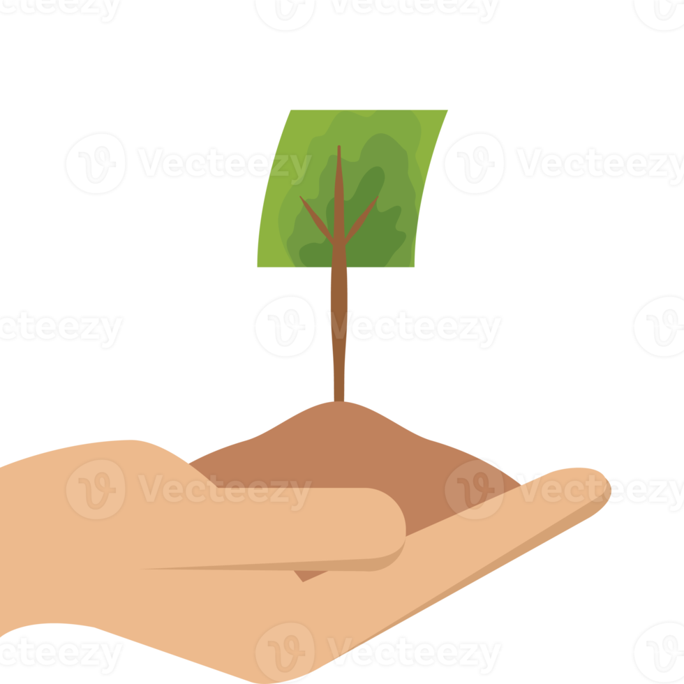 One Hand Holding Tree Plant Life Green Nature png