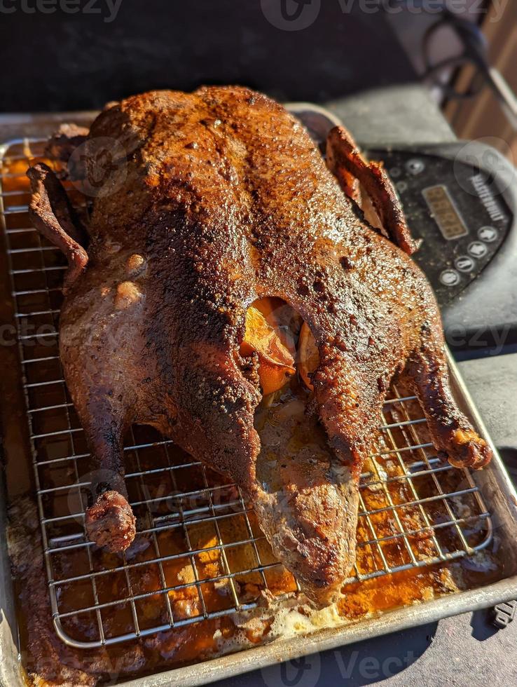 smoked duck on a tray ready to eat stuffed with oranges photo