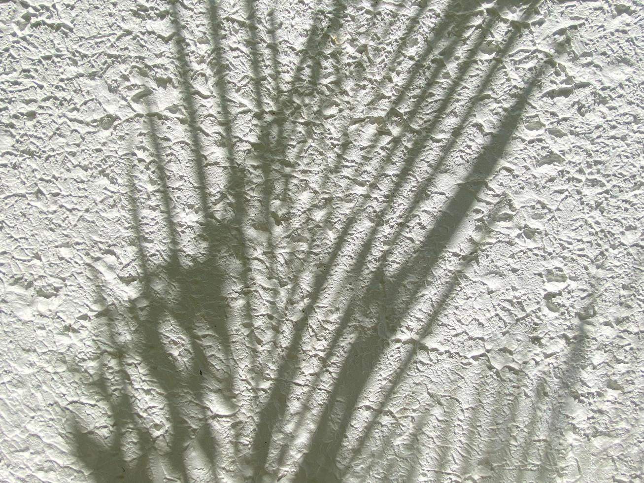 Light shadow leaves on wall texture background photo