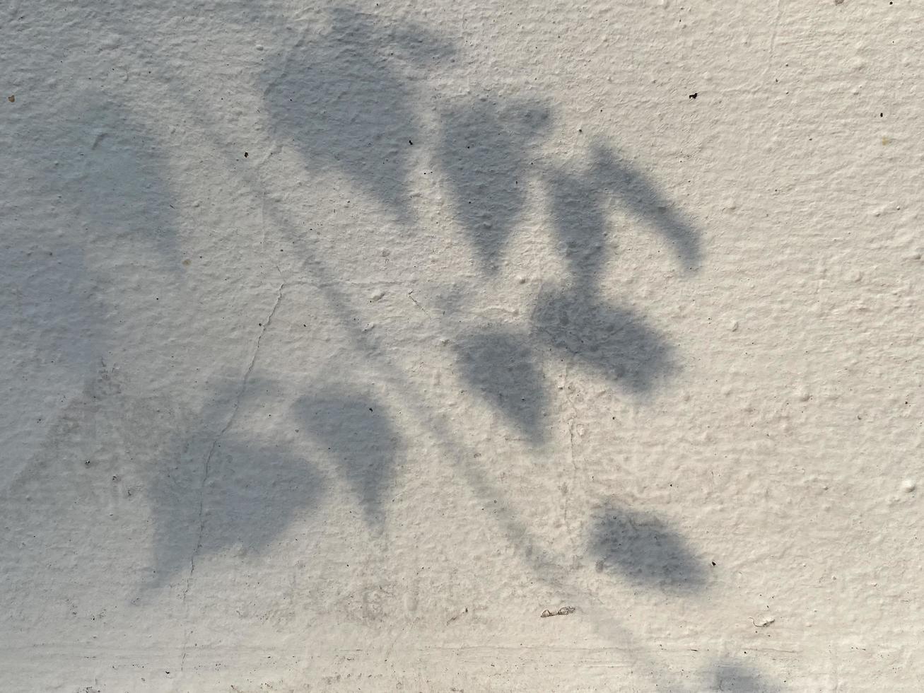 ligero sombra hojas en pared textura antecedentes foto