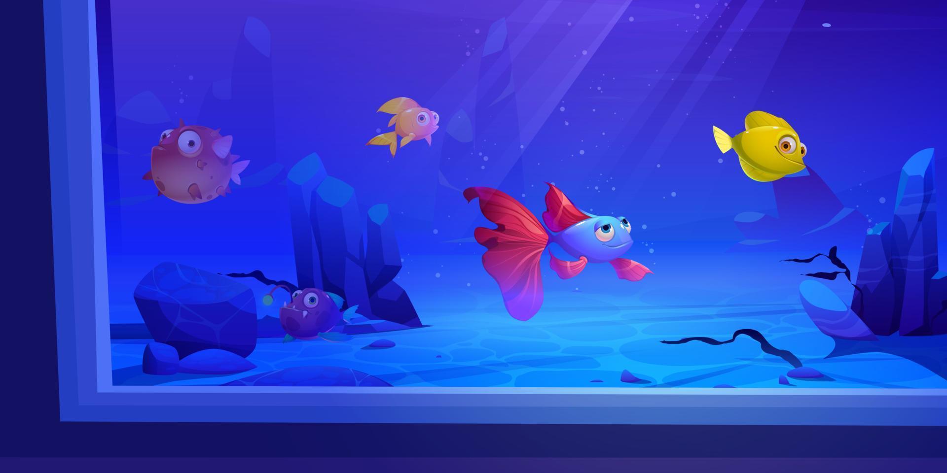 Underwater marine aquarium illustration with fish vector