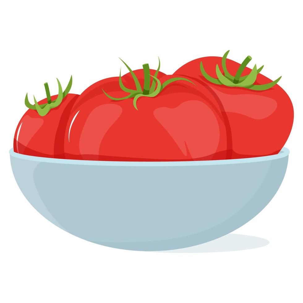 Tres jugoso rojo Tomates en un azul plato vector