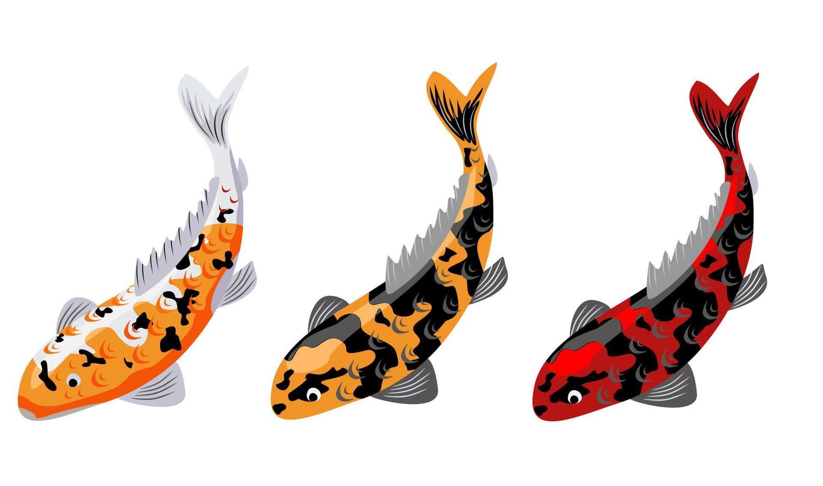 Japanese koi fish different colors set vector