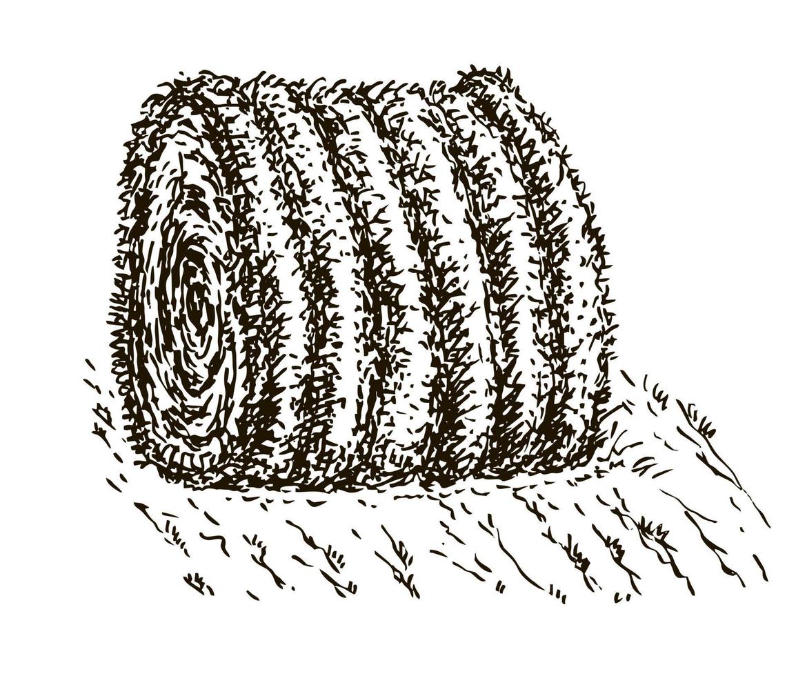 Rolled hay icon. Stack of dry field grass. Sketch Round straw bale, natural farm cattle feed, biofuel vector