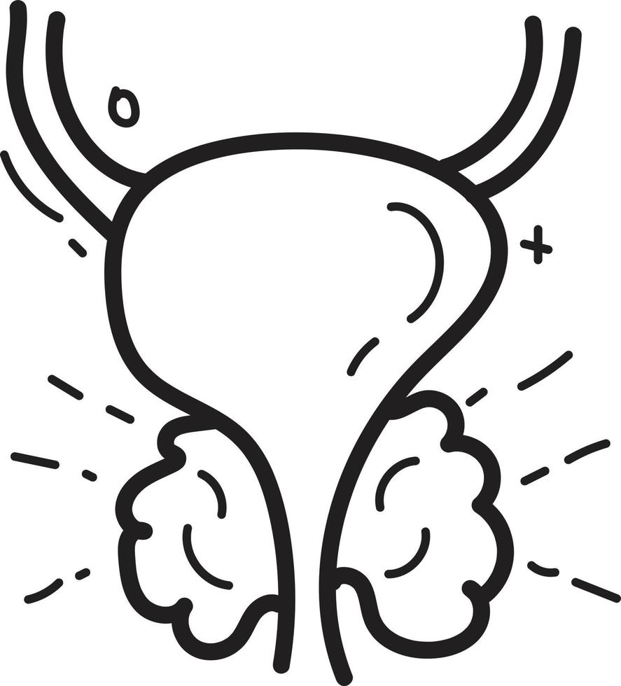 doodle prostate icon outline vector
