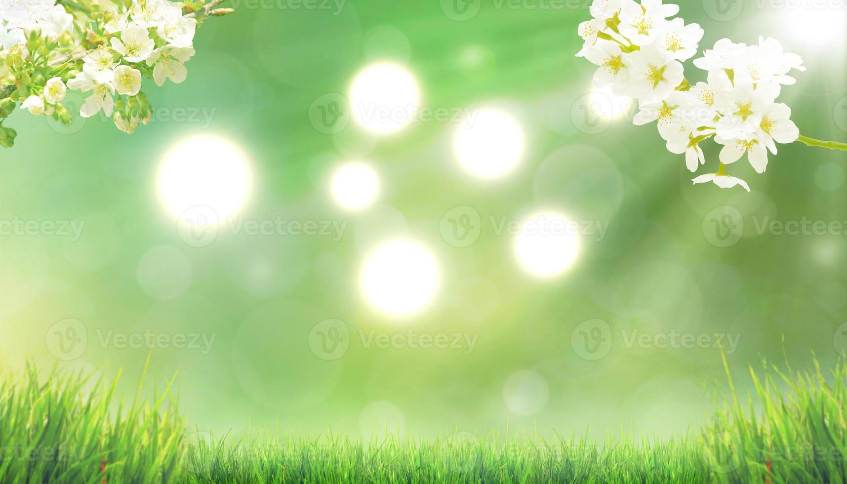 Beautiful nature view of spring flowering trees on blurred background. photo