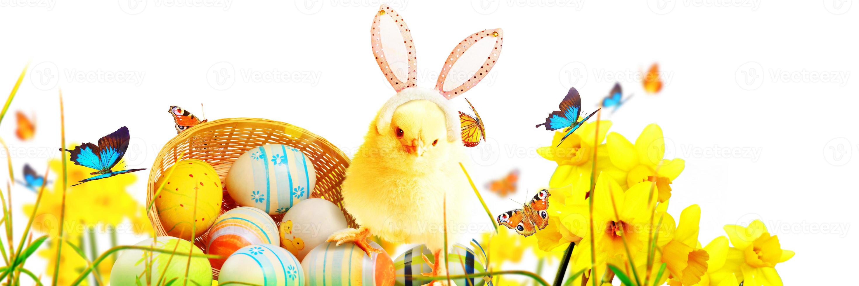 Little cute newborn baby chick for Easter celebration. photo