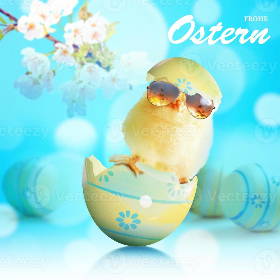 Funny cute baby chick with sunglasses and egg. photo