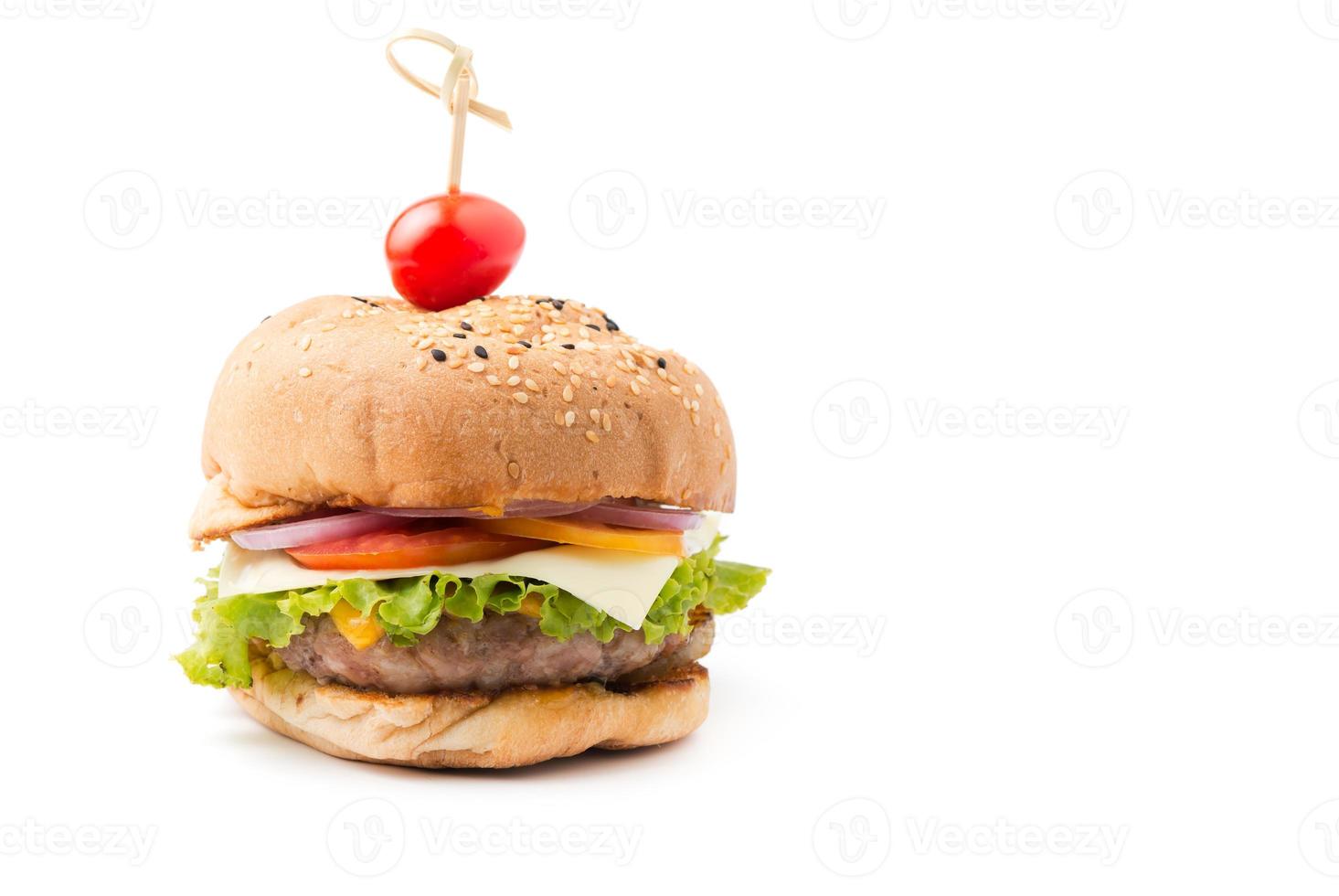 Beef Hamburger, homemade hamburger with fresh vegetables photo