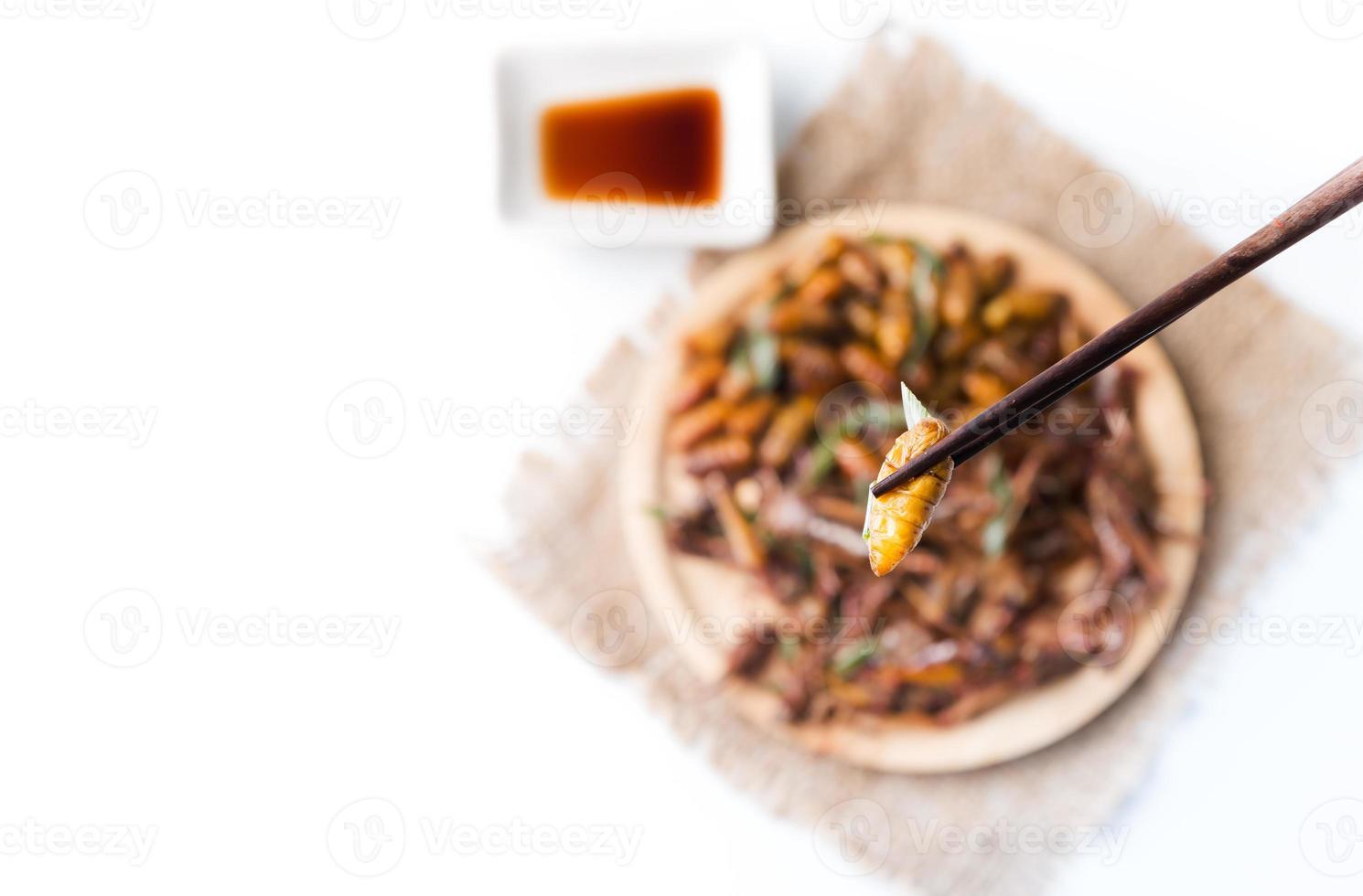 silkworm pupa on chopsticks photo