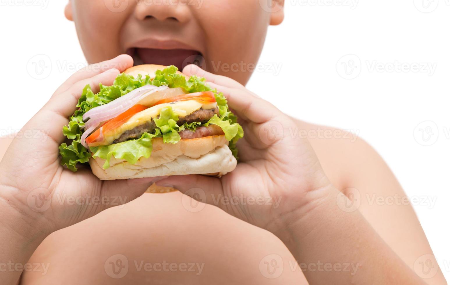 Hamburger in obese fat boy hand photo