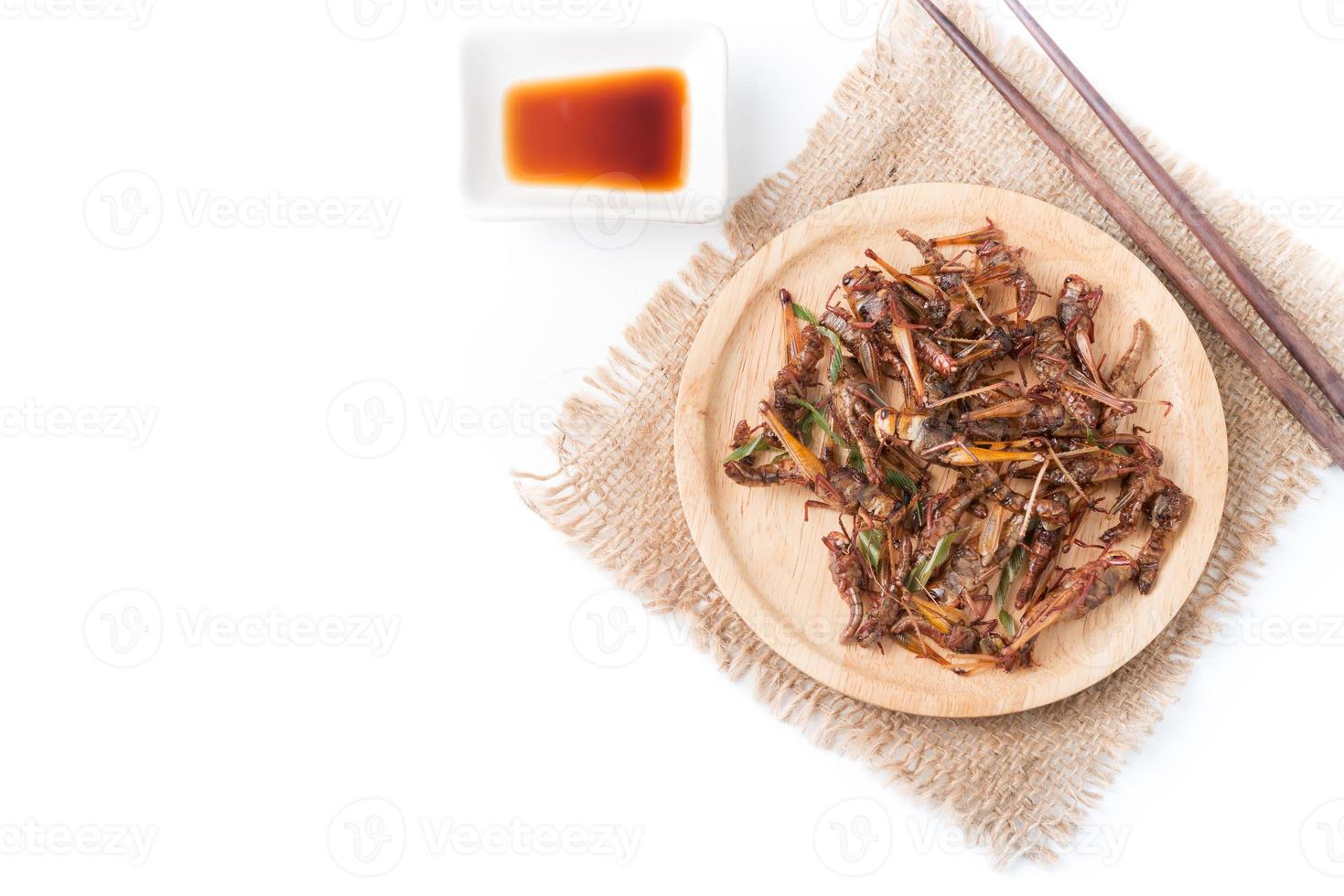 fried grasshoppers isolated on white background photo