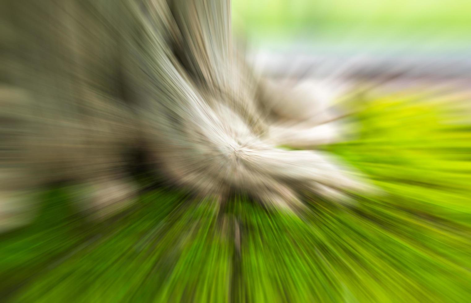 radial blur of root tree and moss, photo