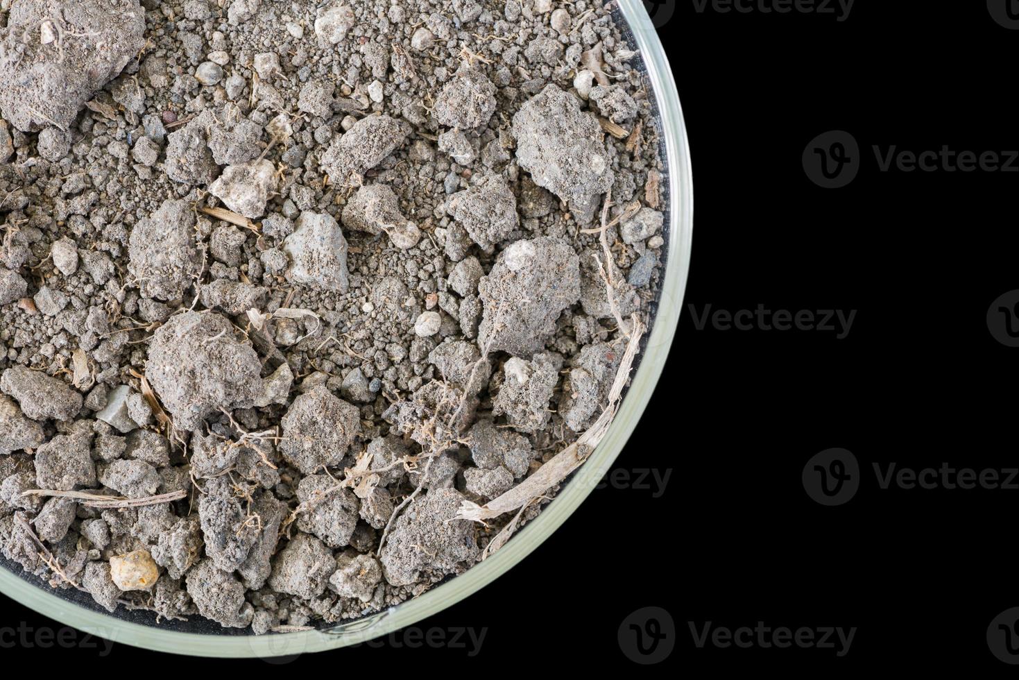 Dry soil in petri dish isolated on black background photo