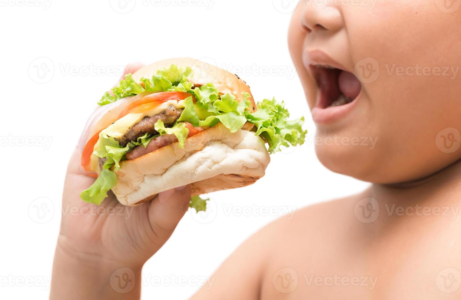 Hamburger in obese fat boy hand photo