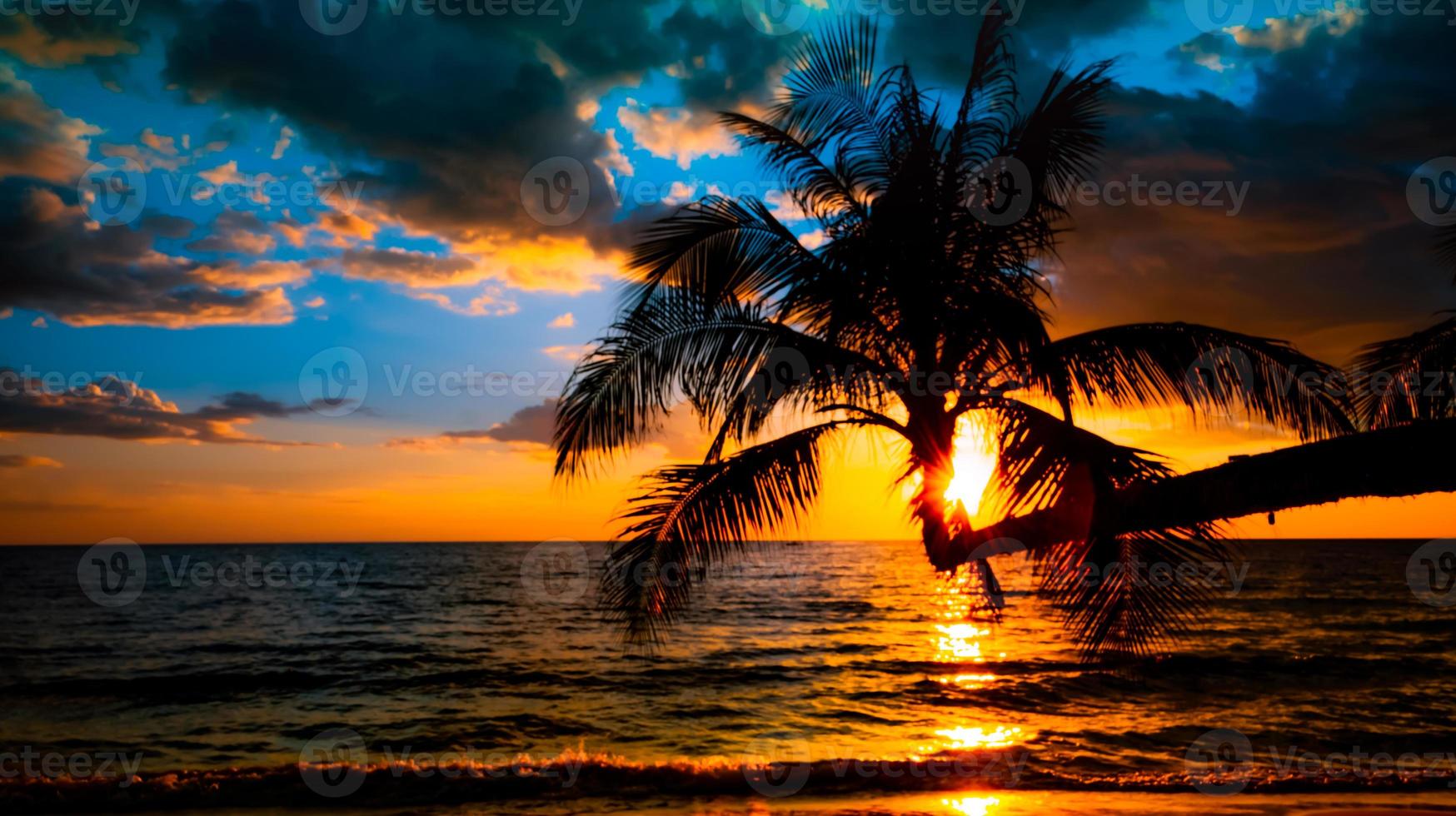 Silhouette of palm trees Beautiful sunset on the tropical sea beach background for travel in holiday relax time, photo