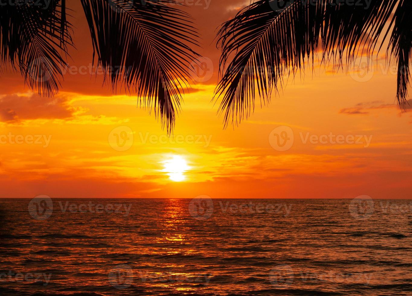 Silhouette of palm trees Beautiful sunset on the tropical sea beach background for travel in holiday relax time, photo