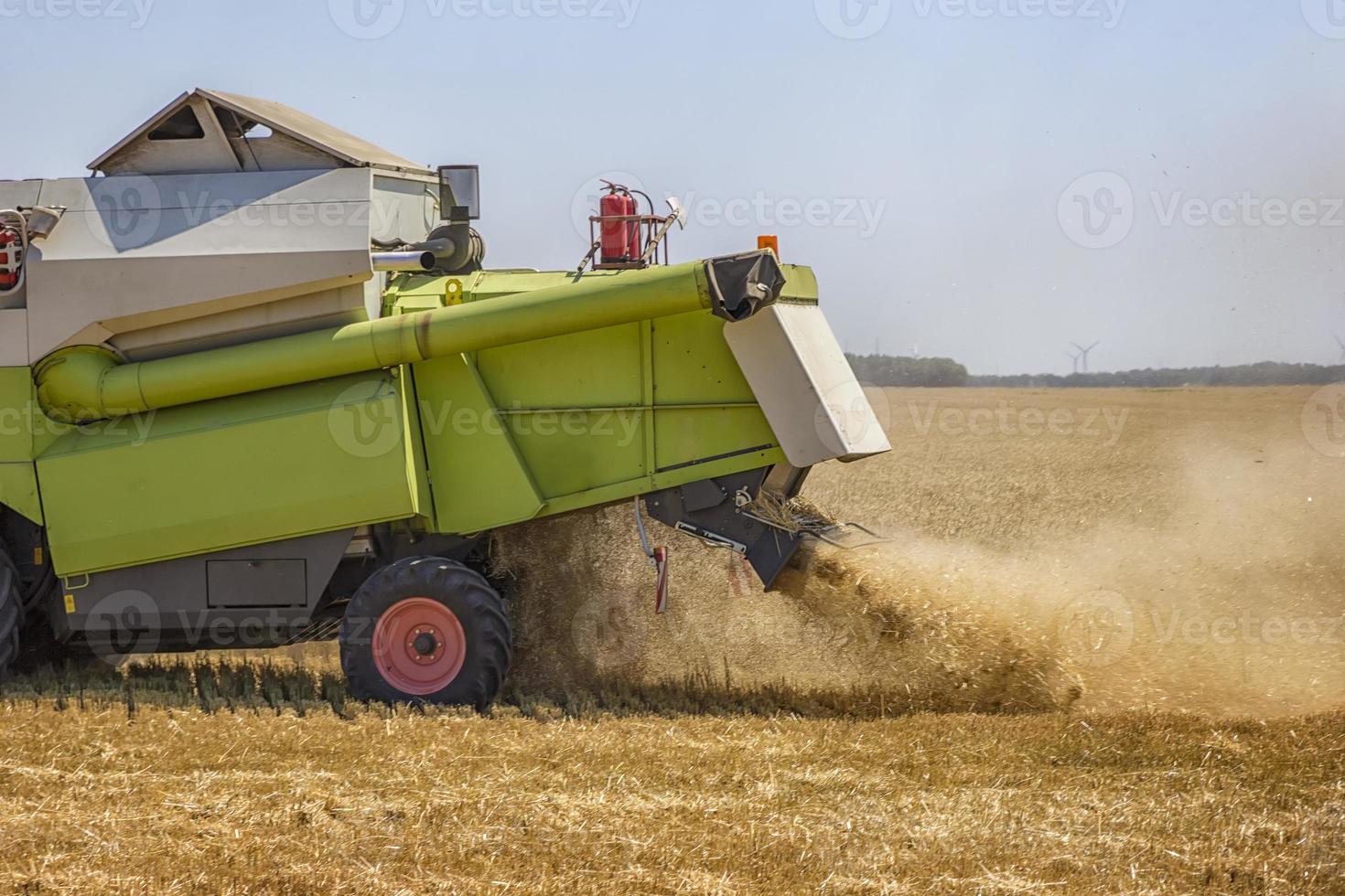 Combine harvester working on a wheat field.  Combine throws straw. Close up photo