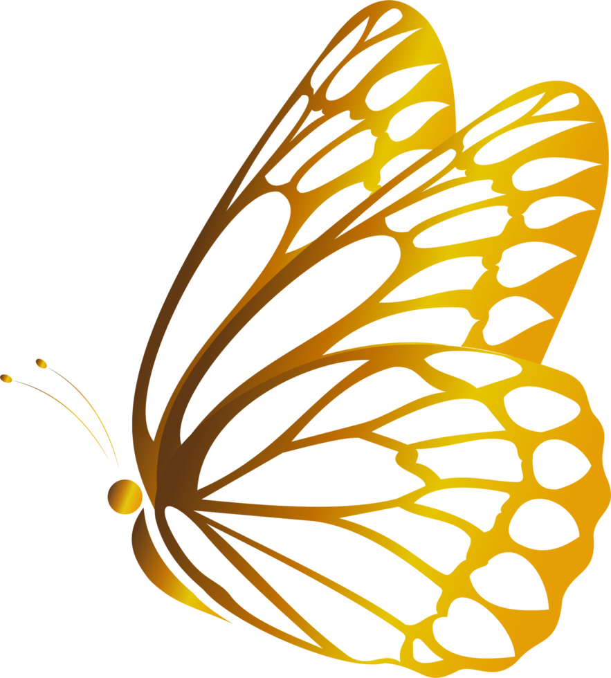 A digital drawing of a butterfly in golden color, suitable for decoration, patterns, or icons png