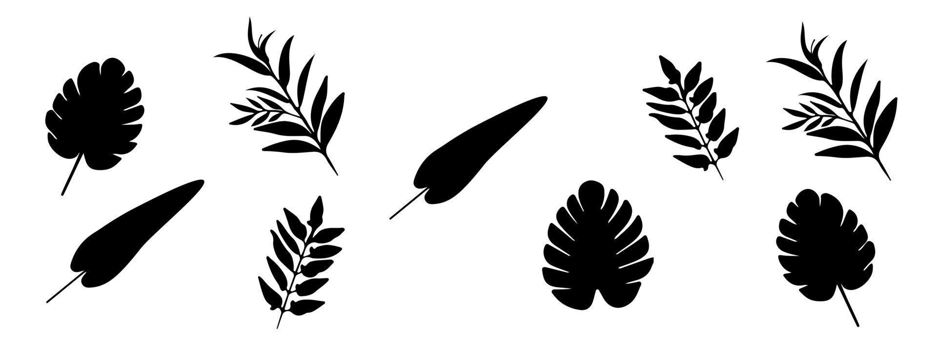 Set of tree branches, eucalyptus, leaves, herbs and flowers silhouettes vector