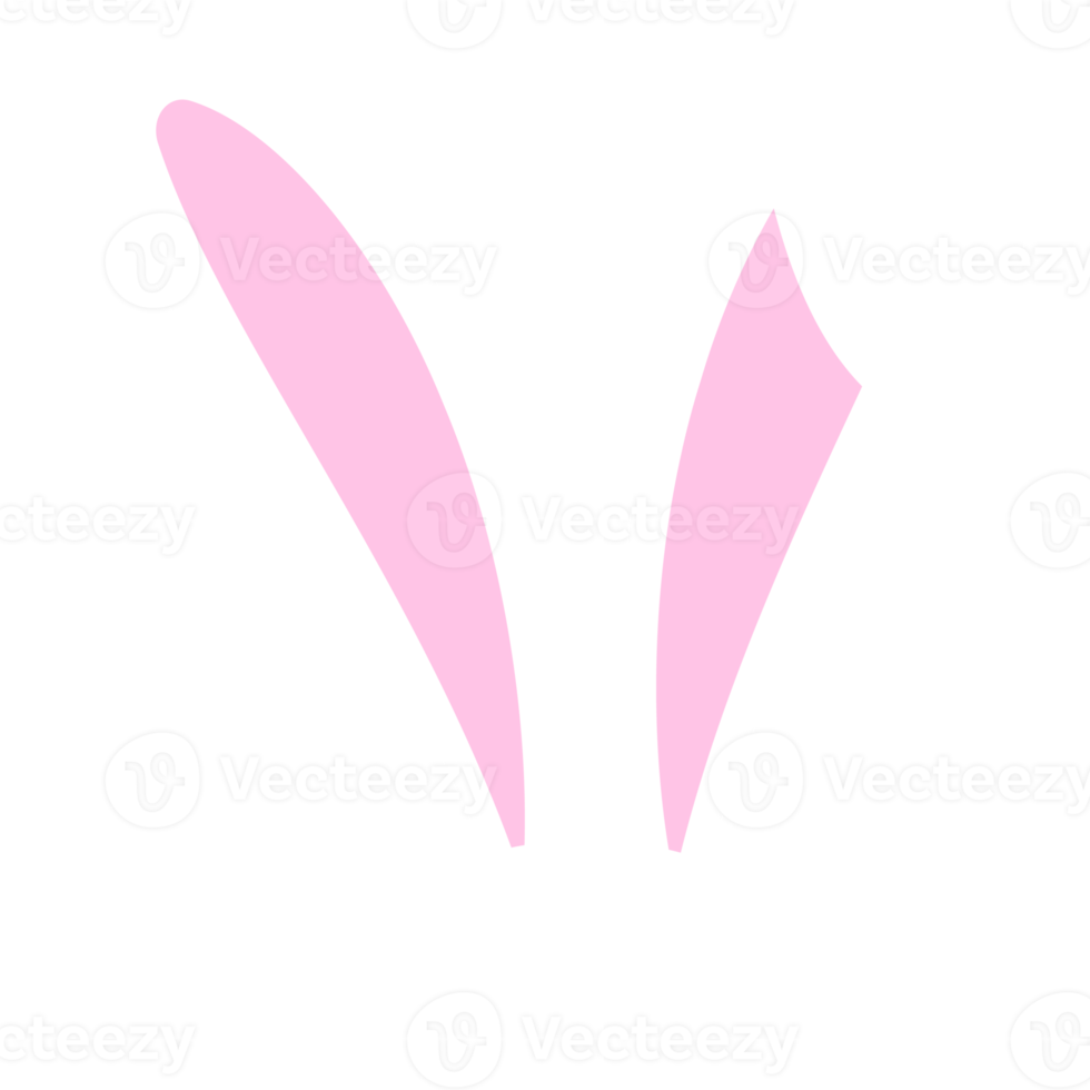 Rabbit ears headband png
