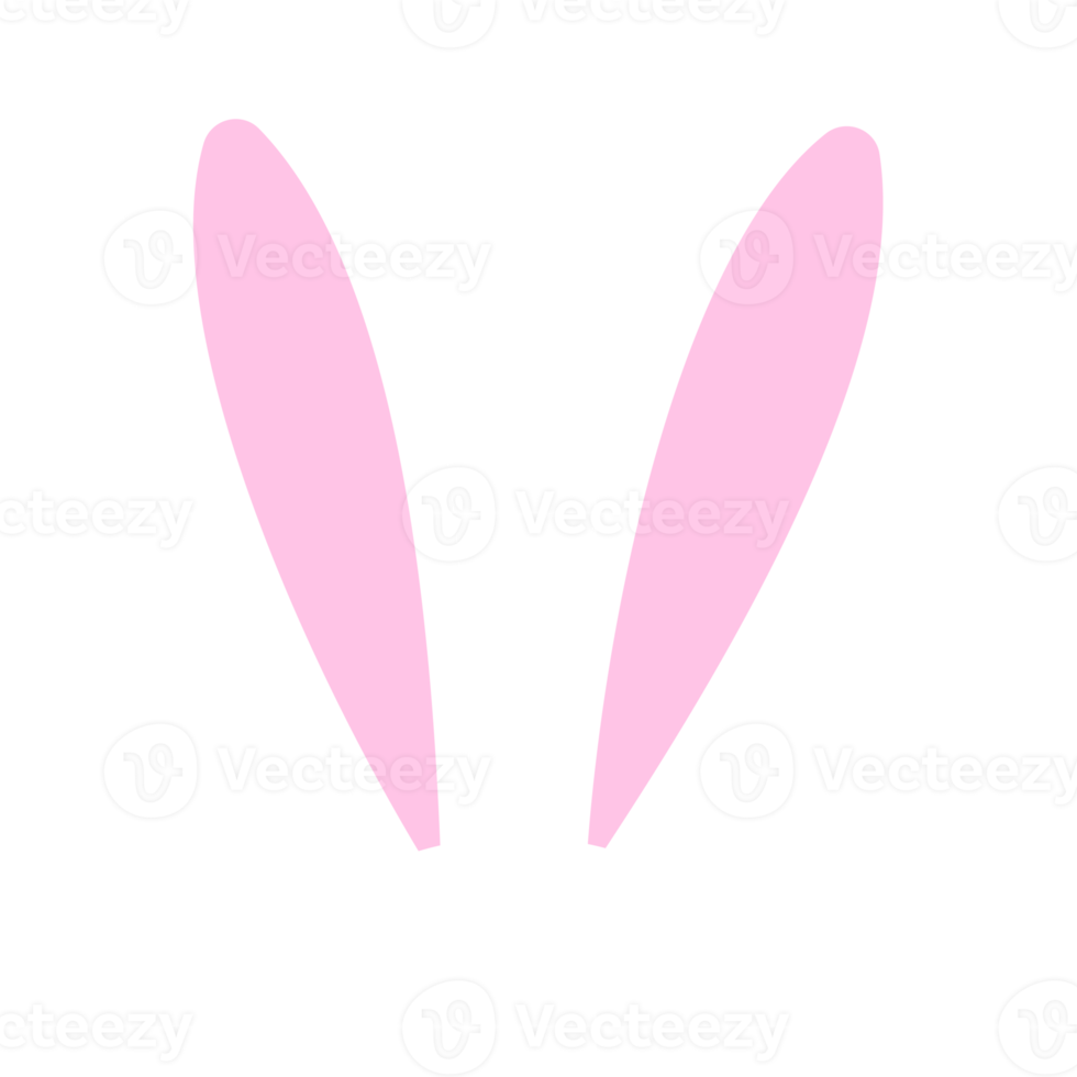 Rabbit ears headband png