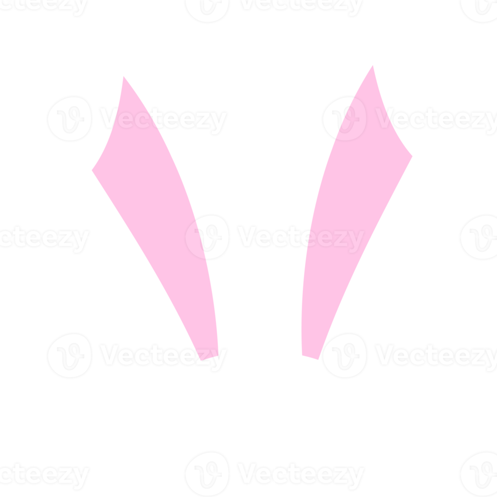 Rabbit ears headband png