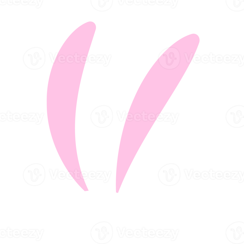 Rabbit ears headband png