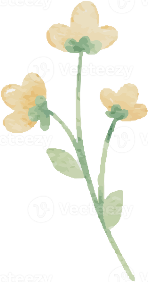 watercolor tiny wild flower botanical wreath frame png