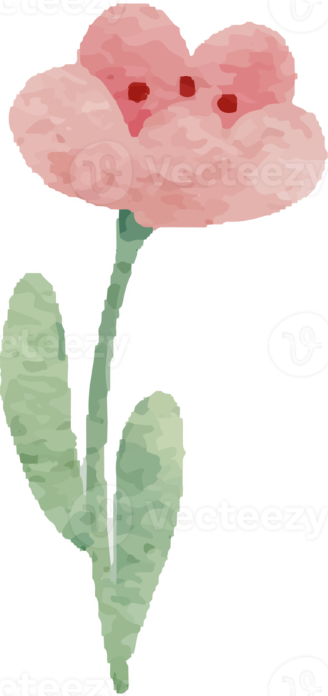 watercolor tiny wild flower botanical wreath frame png