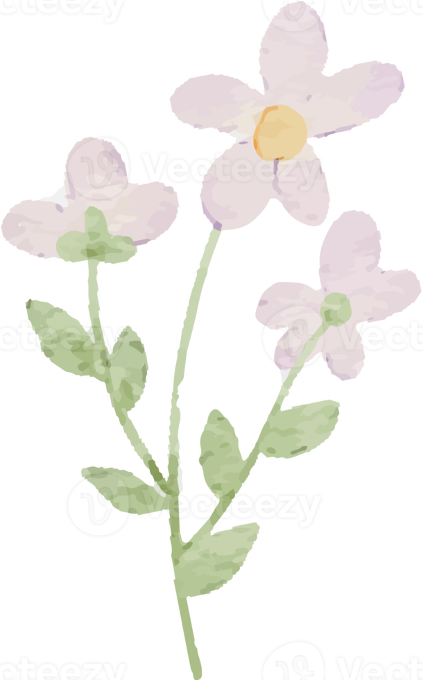 white watercolor tiny wild flower botanical wreath frame png