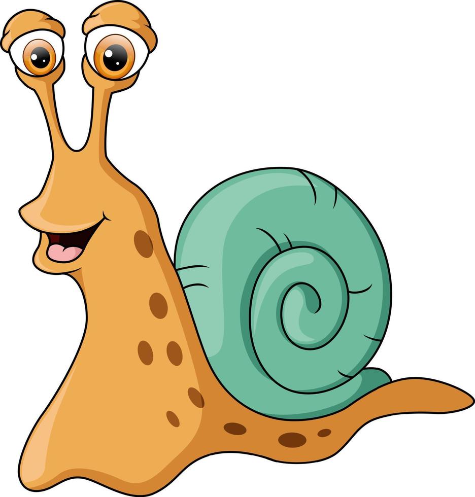 Cute snail cartoon on white background vector