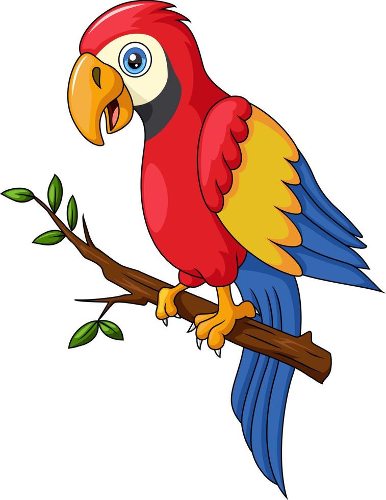 Cute macaw cartoon on tree branch vector