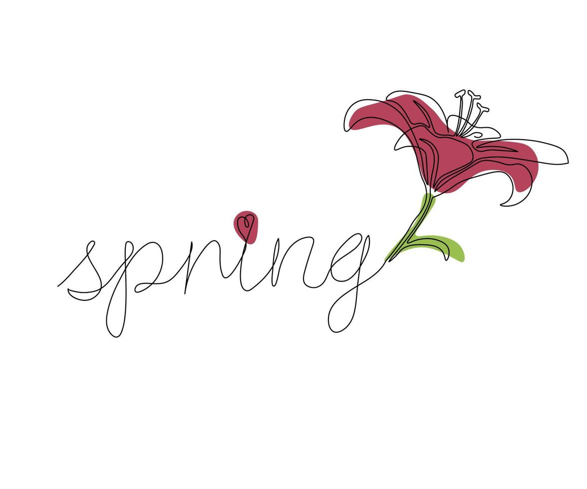 el inscripción primavera y el lirio flor continuo uno línea dibujo vector