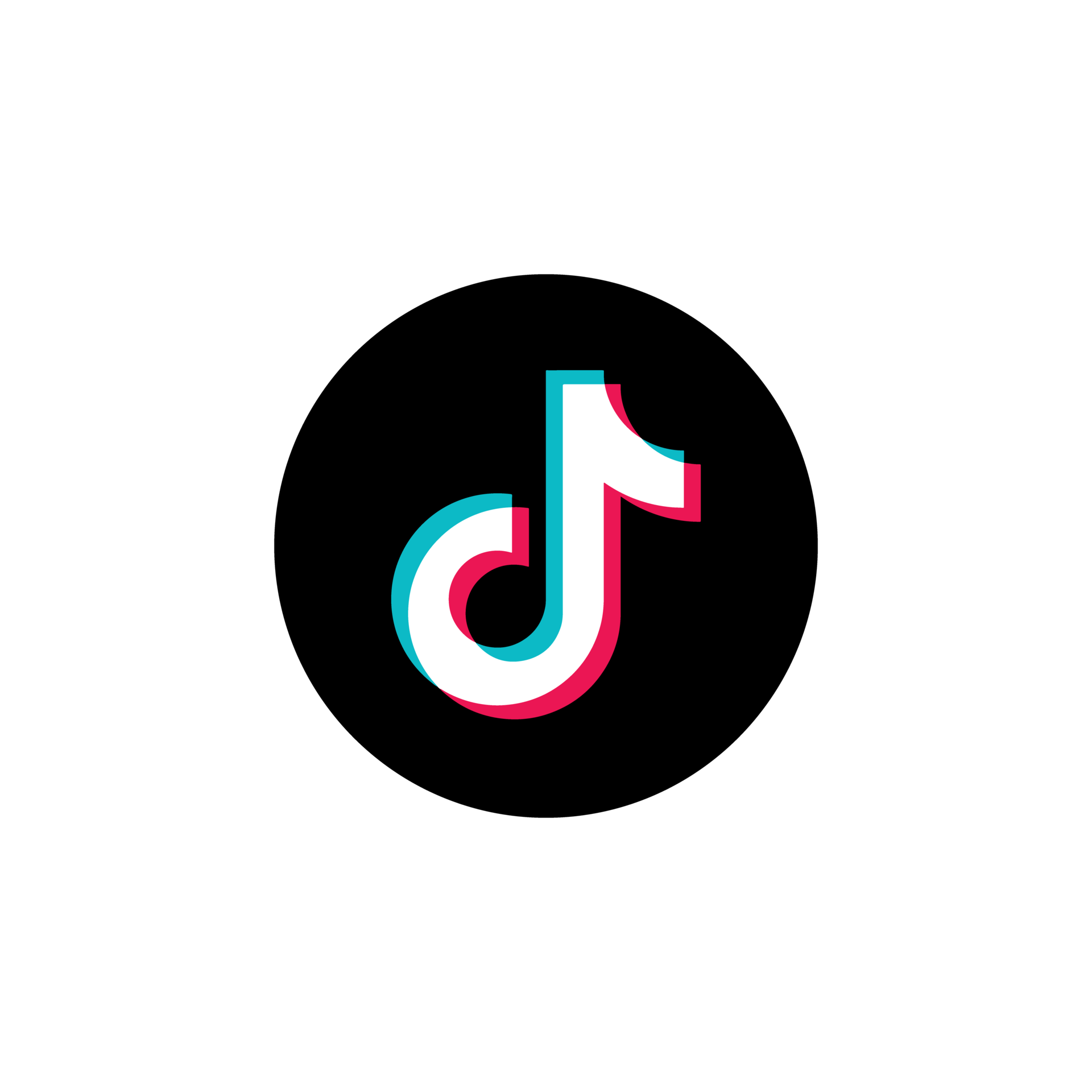 Tiktok Logo transparent PNG 21460265 PNG