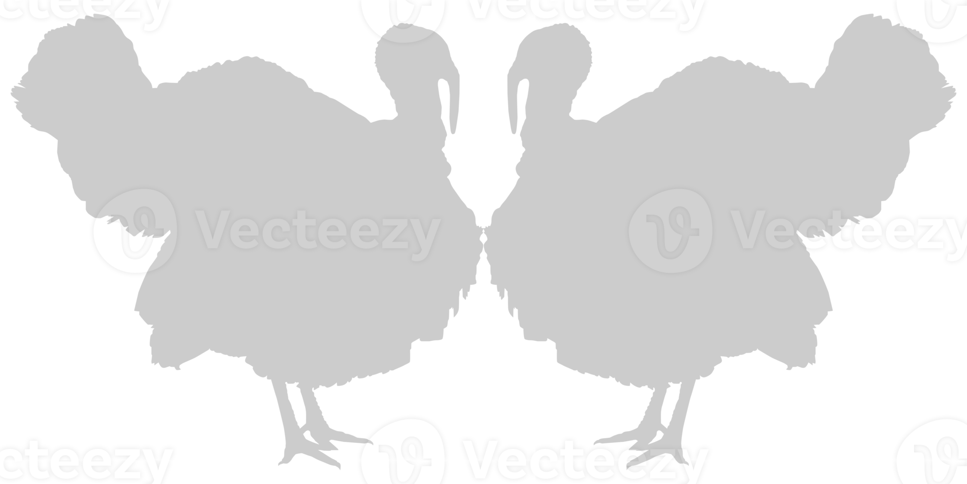 Turkey Silhouette for Art Illustration, Pictogram or Graphic Design Element. The Turkey is a large bird in the genus Meleagris. Format PNG