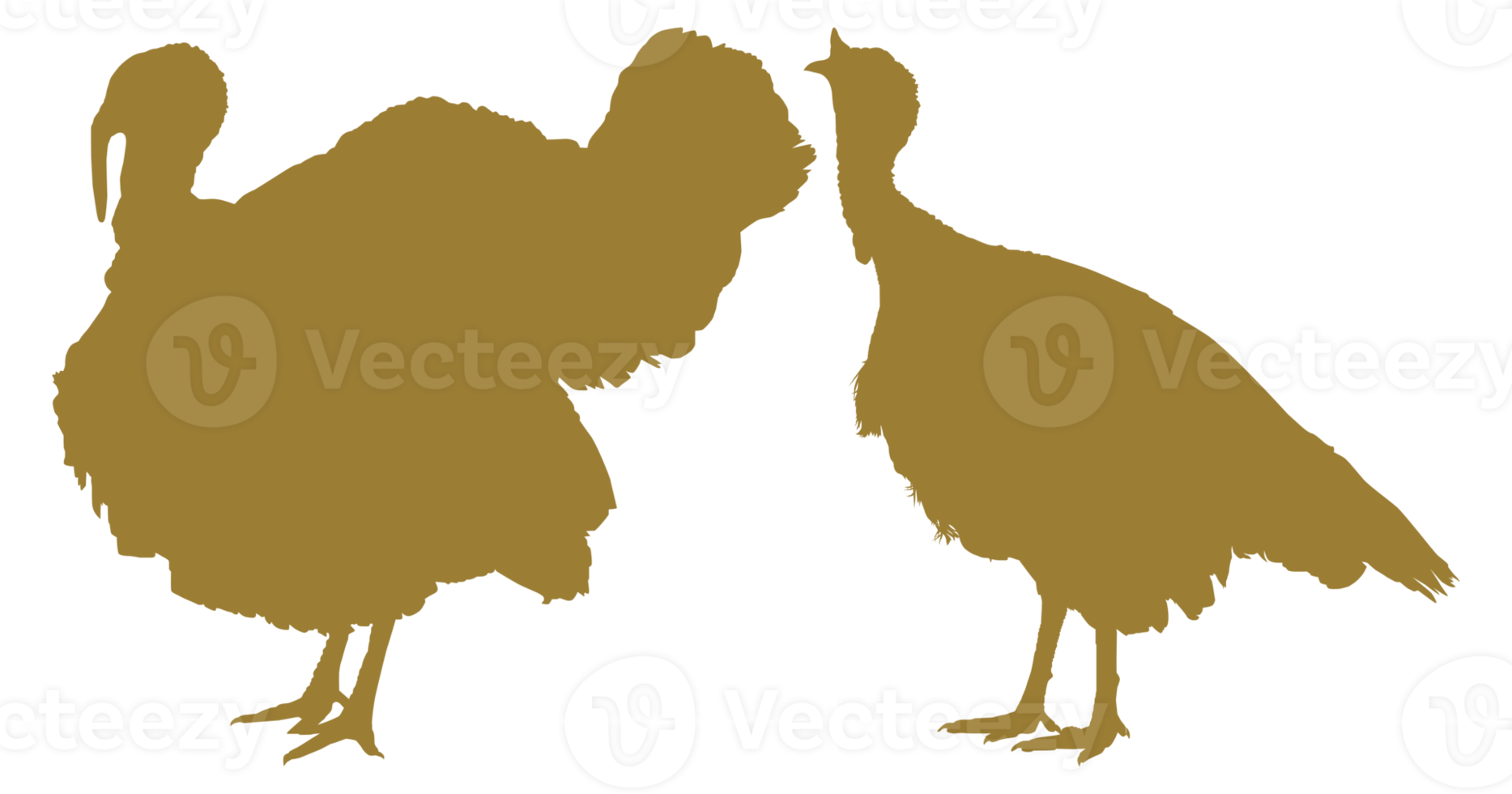 Pair of Turkey Silhouette for Art Illustration, Pictogram or Graphic Design Element. The Turkey is a large bird in the genus Meleagris. Format PNG