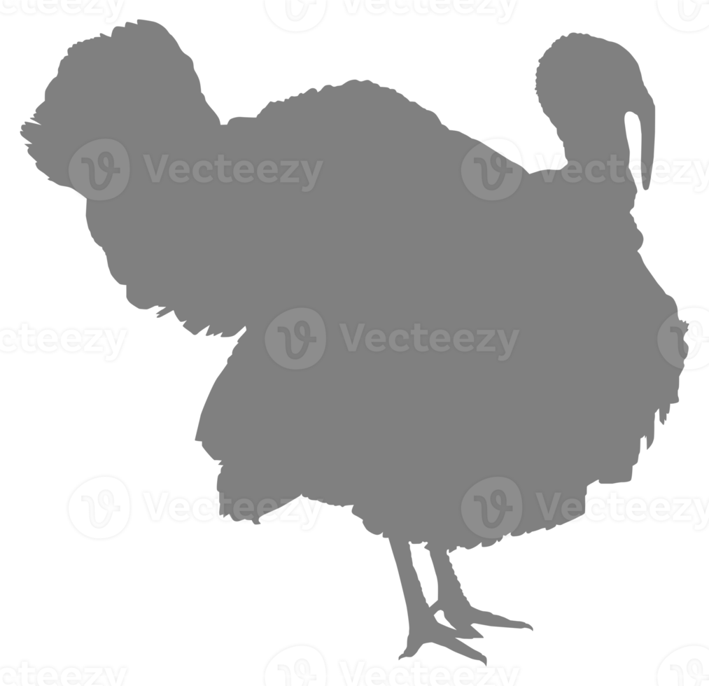 Turkey Silhouette for Art Illustration, Pictogram or Graphic Design Element. The Turkey is a large bird in the genus Meleagris. Format PNG
