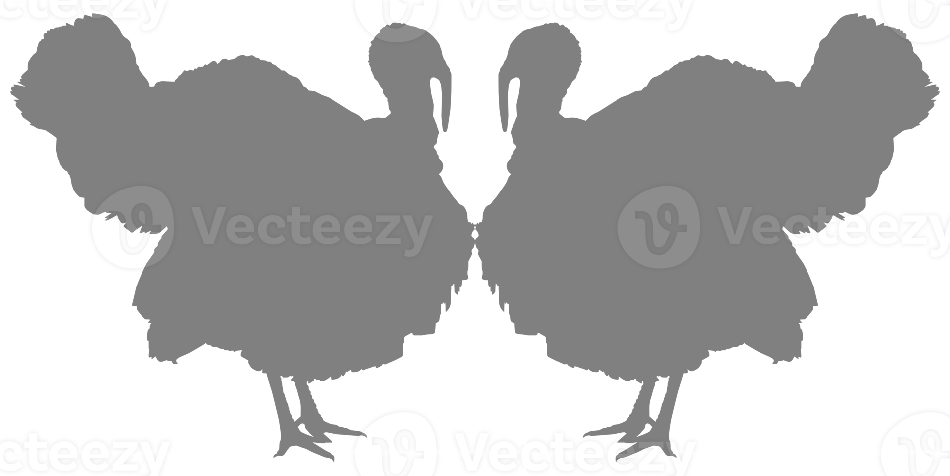 Turkey Silhouette for Art Illustration, Pictogram or Graphic Design Element. The Turkey is a large bird in the genus Meleagris. Format PNG