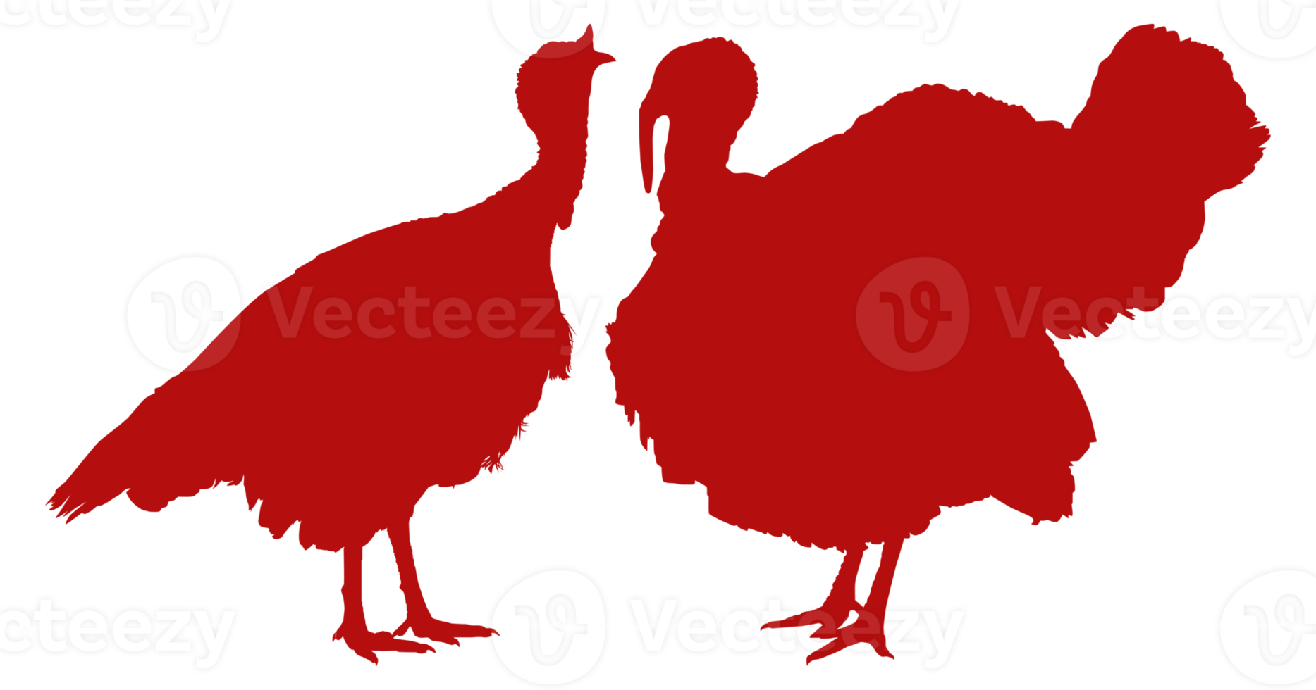 Pair of Turkey Silhouette for Art Illustration, Pictogram or Graphic Design Element. The Turkey is a large bird in the genus Meleagris. Format PNG