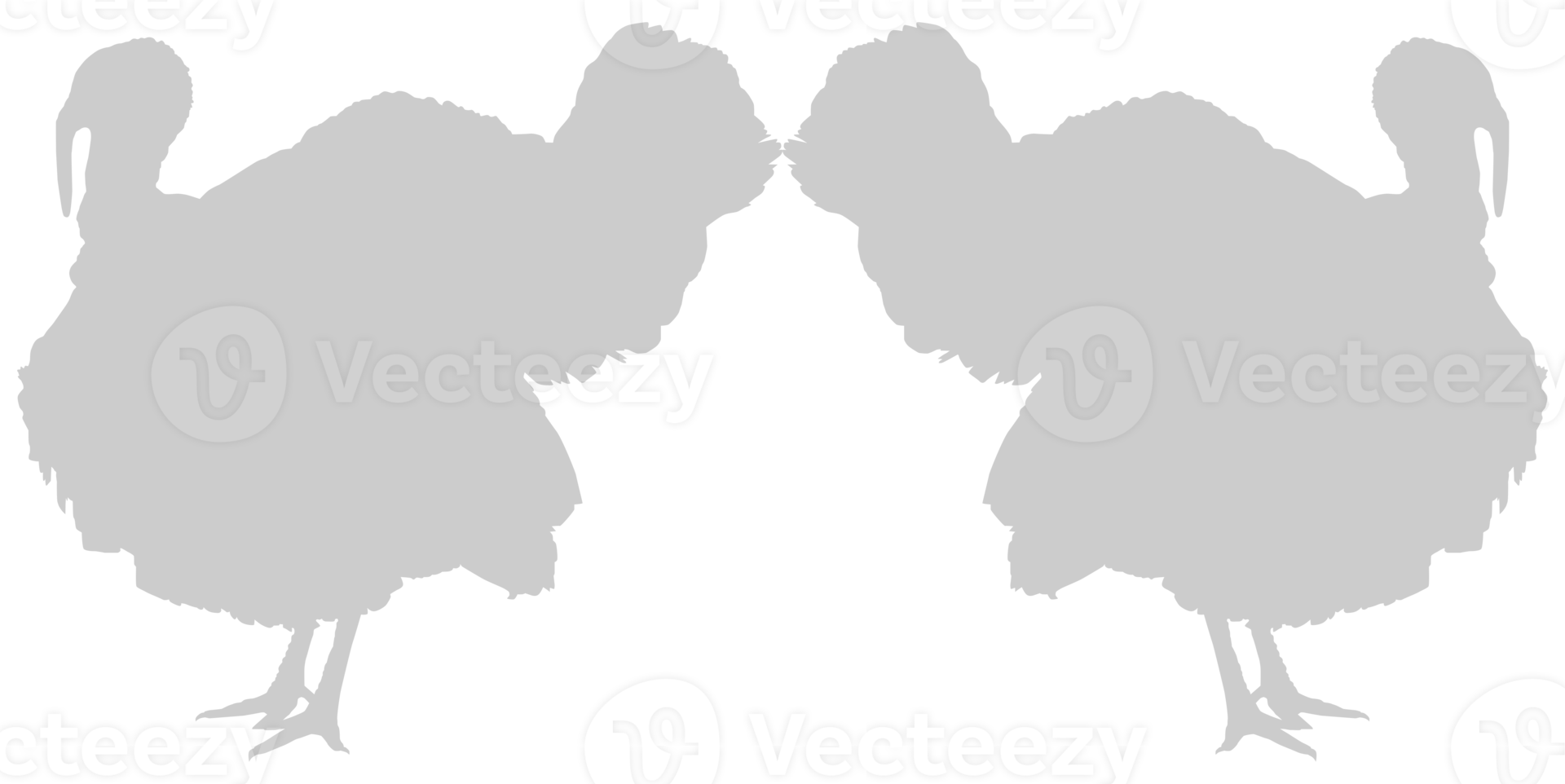 Turkey Silhouette for Art Illustration, Pictogram or Graphic Design Element. The Turkey is a large bird in the genus Meleagris. Format PNG