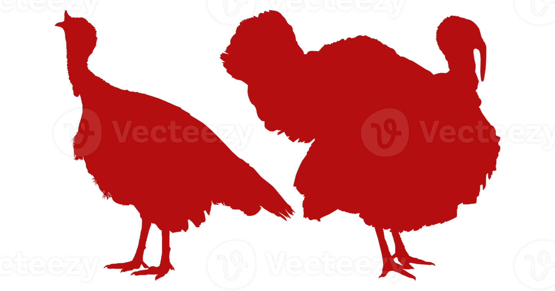 Pair of Turkey Silhouette for Art Illustration, Pictogram or Graphic Design Element. The Turkey is a large bird in the genus Meleagris. Format PNG